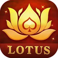 teen patti vip yes download
